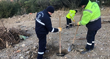 Karamürsel Dereköy'e 1000 ağaç fidanı dikilecek