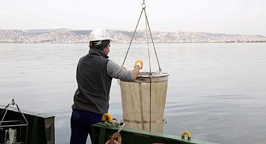 İzmit Körfezi'nde biyoçeşitliliğin tespiti