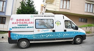 Sokak hayvanlarına yerinde müdahale