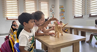 Kahve’nin yavrularını bilgi evleri sahiplendi