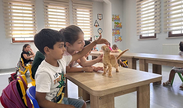 Kahve’nin yavrularını bilgi evleri sahiplendi