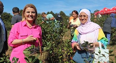 İzmit’te süper meyve aronya hasadı mutluluğu