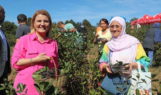 İzmit’te süper meyve aronya hasadı mutluluğu