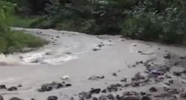 Artvin'de şiddetli yağış sele yol açtı