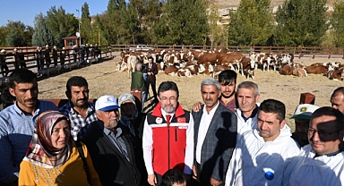 Deprem bölgesi Malatya’da üreticilere büyükbaş hayvan desteği