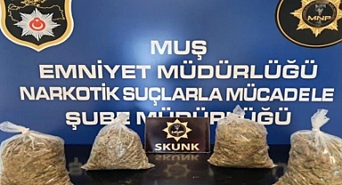 Muş'ta 3 kilo 910 gram skunk ele geçirildi