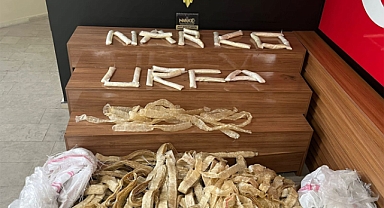 Şanlıurfa'da uyuşturucu operasyonu: 4 gözaltı
