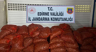 Edirne’de 1 ton 662 kilo kaçak kum midyesi ele geçirildi
