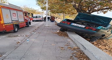 Elazığ'da otomobil kaldırıma çıkıp ağaca çarptı : 3 yaralı