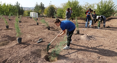 Öğrenciler fidan dikti