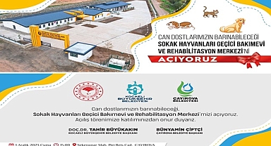 Sokak hayvanları rehabilitasyon merkezi açılıyor