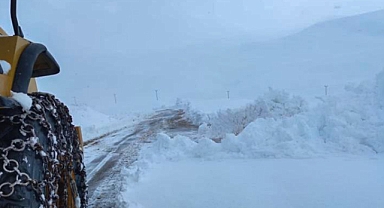 Van'da kar nedeniyle 142 yol ulaşıma kapandı