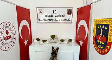 Bingöl'de 13 kilo 500 gram toz esrar ele geçirildi