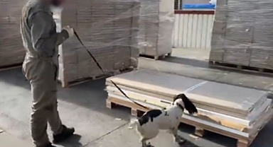 Gümrükte 63 kilo uyuşturucu hap ele geçirildi