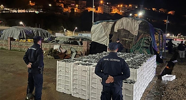 İstanbul'da boy yasağına aykırı avlanılan 9 ton balığa el konuldu