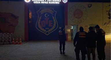 Konteyner dolandırıcılarına operasyon