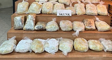 Şanlıurfa'da 43 kilogram uyuşturucu ele geçirildi