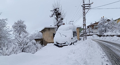 Bitlis, Van, Muş ve Hakkari'de 1444 yerleşim birimi ulaşıma kapandı