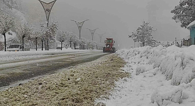 Doğu Anadolu'nun güneydoğusunda kar yağışları devam edecek