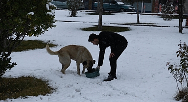 Malatya'da kar yağışı sonrası sokak hayvanlarına mama bırakıldı