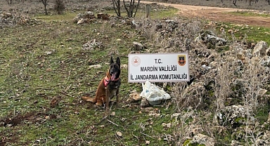 Mardin'de 25 kilo EYP ele geçirildi