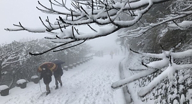 Tayvan'da soğuk hava nedeniyle 145 kişi öldü