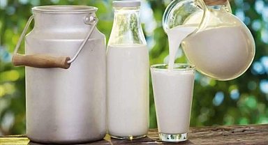 Ticari süt işletmelerince 810 bin ton inek sütü toplandı