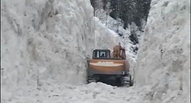 Artvin’de çığ: Kepçe operatörü hayatını kaybetti
