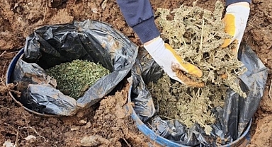 Diyarbakır'da 43 kilogram esrar ele geçirildi: 1 gözaltı