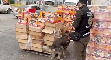 Hurma kolilerinin arasına gizlenen 22 kilo metamfetamin ele geçirildi