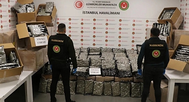 İstanbul ve Kapıkule’de 463 kilogram uyuşturucu ele geçirildi