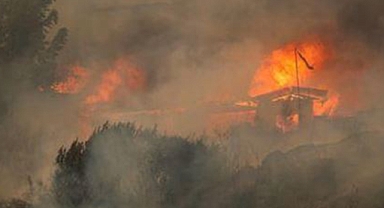 Şili’de orman yangını: 51 ölü