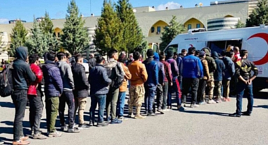 Van'da 97 düzensiz göçmen yakalandı