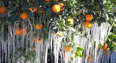 Meteorolojiden çiftçilere zirai don uyarısı