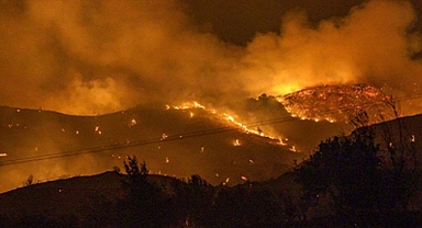 Rize'de orman yangını