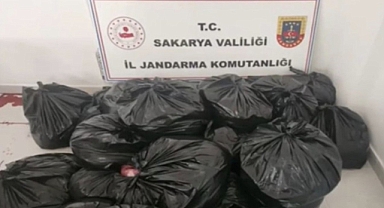 Sakarya'da bir tırda 700 kilo at ve eşek eti ele geçirildi