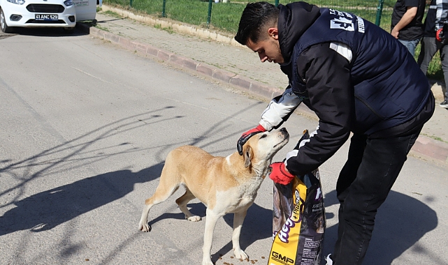 İzmit Belediyesi, sokaktaki dostlarımızın yanında olmaya devam ediyor