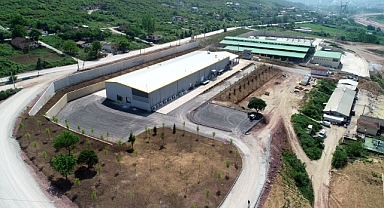 Kurban kesim başvuruları 3 Haziran'da başlıyor