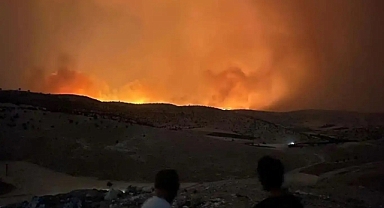 Diyarbakır ve Mardin'deki anız yangınında can kaybı 11'e yükseldi
