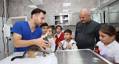 Gebze’de 309 Patili Cana Yeni Yuva Bulundu