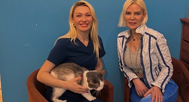 Veteriner Hekim’den HAÇİKO Derneği’ne Mama Desteği