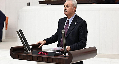 CHP Kocaeli Milletvekili Nail Çiler'den sokak hayvanları yasasına tepki!