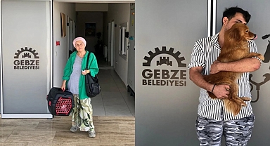 Gebze’de Patili Canlar Sahiplendirilerek Yuvalarına Kavuşuyor