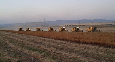 Tarım ÜFE ağustosta aylık bazda azaldı