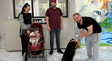 10 ayda 170 can dostumuza yuva bulundu