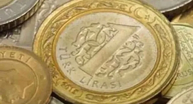 1 TL'nin maliyeti 3 lirayı geçti!
