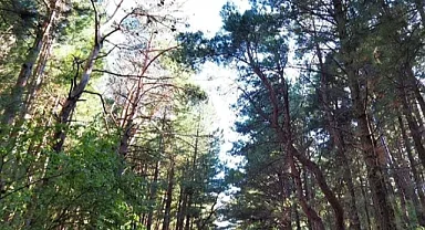 CHP Çanakkale'den 'Kazdağları' çağrısı