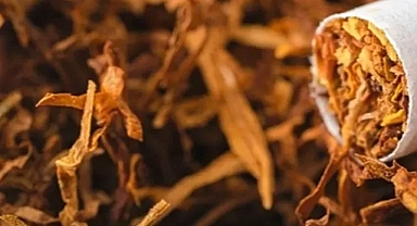 Yurt Dışı Üretici Fiyat Endeksi Aralık'ta da arttı... Yıllıkta tütün, aylıkta gıda ürünleri başı çekti
