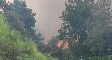 Antalya Muratpaşa’da orman yangını