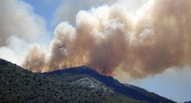 Türkiye genelinde son 1 haftada 576 orman yangını meydana geldi